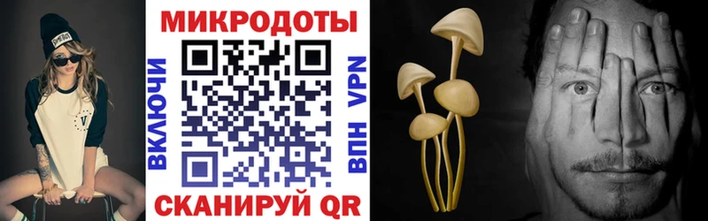 Галлюциногенные грибы Psilocybine cubensis  Куртамыш 